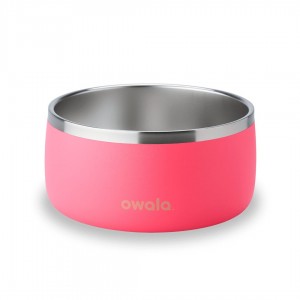 Owala 6 Cups Pet Bowl Hyper Flamingo | Canada RJY478562