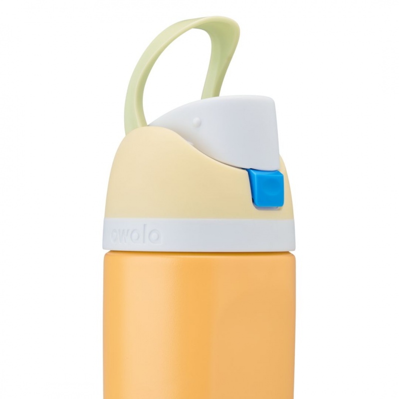 Owala 16oz Kids' FreeSip® Stainless Steel Water Bottle Treasure Hunt | Canada MVN278941