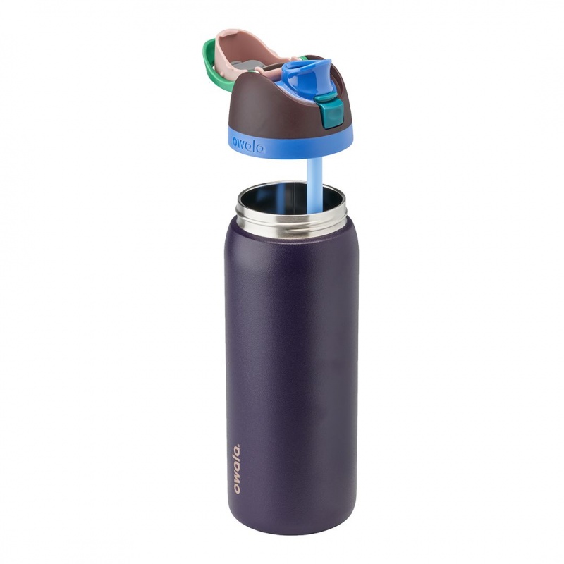 Owala 32oz FreeSip® Stainless Steel Water Bottle Night Safari | Canada QBW318729