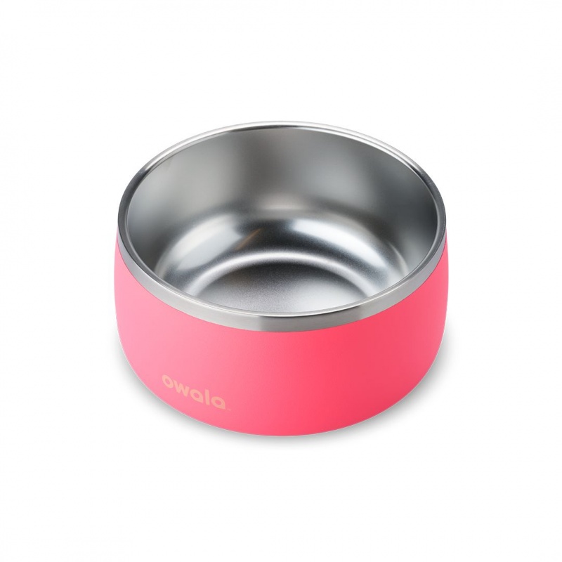 Owala 6 Cups Pet Bowl Hyper Flamingo | Canada RJY478562