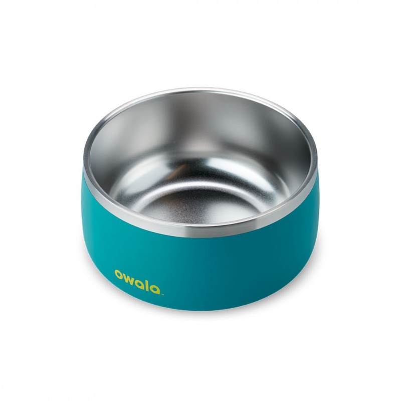 Owala 6 Cups Pet Bowl Turquoise & Caicos | Canada DKC591328