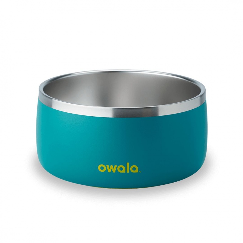 Owala 6 Cups Pet Bowl Turquoise & Caicos | Canada DKC591328