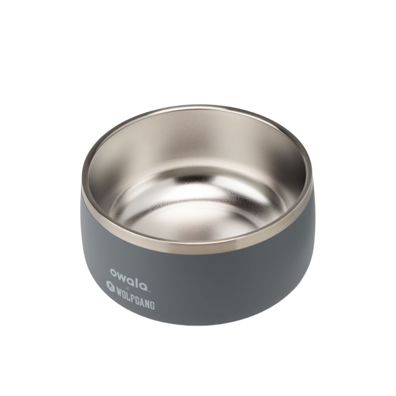 Owala 6 Cups Pet Bowl Wolfgang | Canada DCM691508