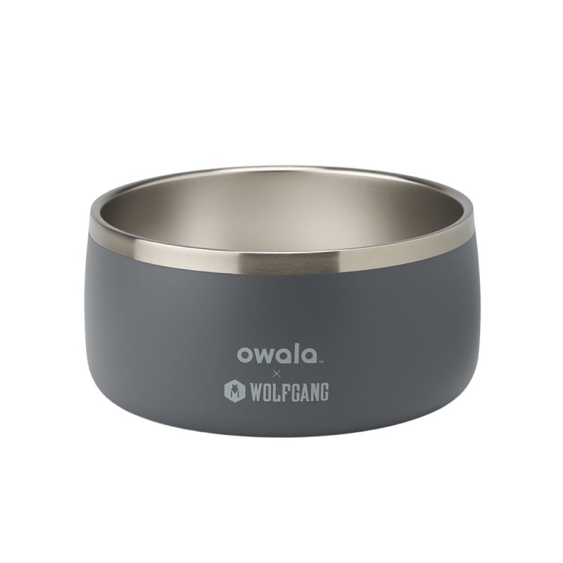 Owala 6 Cups Pet Bowl Wolfgang | Canada DCM691508