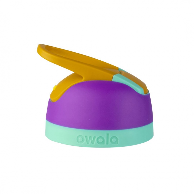 Owala Flip Replacement Lids Hint of Grape | Canada SJF721536