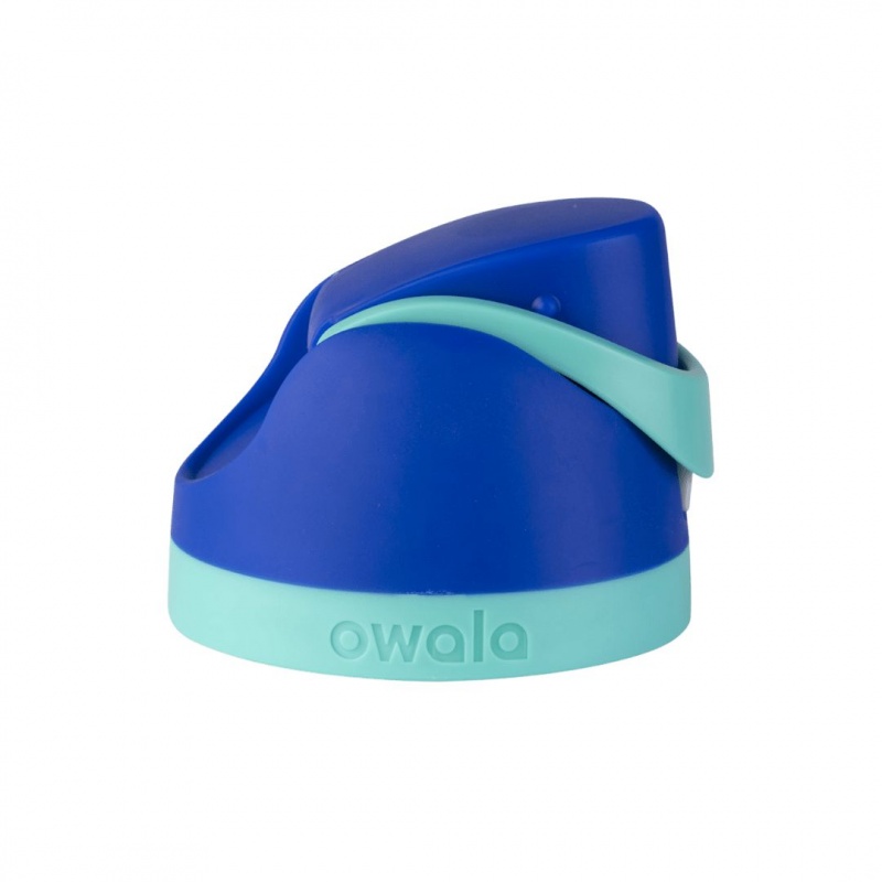 Owala FreeSip® Replacement Lids Smooshed Blueberry | Canada FON048517